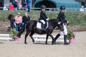 Bild 73 - Pony Akademie Turnier